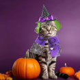 thumbnail image 2 of WILLED Dog & Cat Halloween Costume, Purple Witch Cloak and Hat Set with Spider Web Pattern, Green Wig, and Purple Bow, Comfortable Soft Fabric, Perfect for Halloween Parties Cosplay and Photo Props, 2 of 6