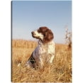 thumbnail image 1 of Cuadro Decorativo - Alerta en Otoño Perro Cazador Jr  Impresión en canvas, estrechado., 1 of 2