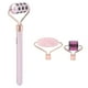 thumbnail image 1 of 3 in 1 Gua Sha Facial Tool Set Jade Stone Facial Microneedle Roller Massager Tools, 1 of 5