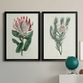 thumbnail image 6 of 2 Piece Set Protea N13 Premium Framed Canvas - Ready to Hang - 26.5 x 36.5 Each - Silver Frame, 6 of 8