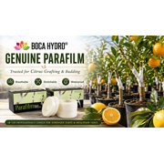 GENUINE PARAFILM Grafting Tape 1 Inch 1 Roll