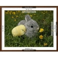 thumbnail image 3 of Gray Rabbit Bunny Baby and Yellow Chick Best Friends, Framed Art Print Wall Art by Richard Peterson Sold by Art.Com, 3 of 6