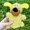Yellow, variant on Interactive Rattle Toy Dog Toy Cute Voice Doll, Dog Toys Squeaky with Motion Activated Sound, Pet Toys Soft Microfiber Corgi for Teething