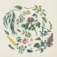 thumbnail image 2 of Wild Apple Portfolio 20x20 White Modern Wood Framed Museum Art Print Titled - Victorian Garden I, 2 of 4