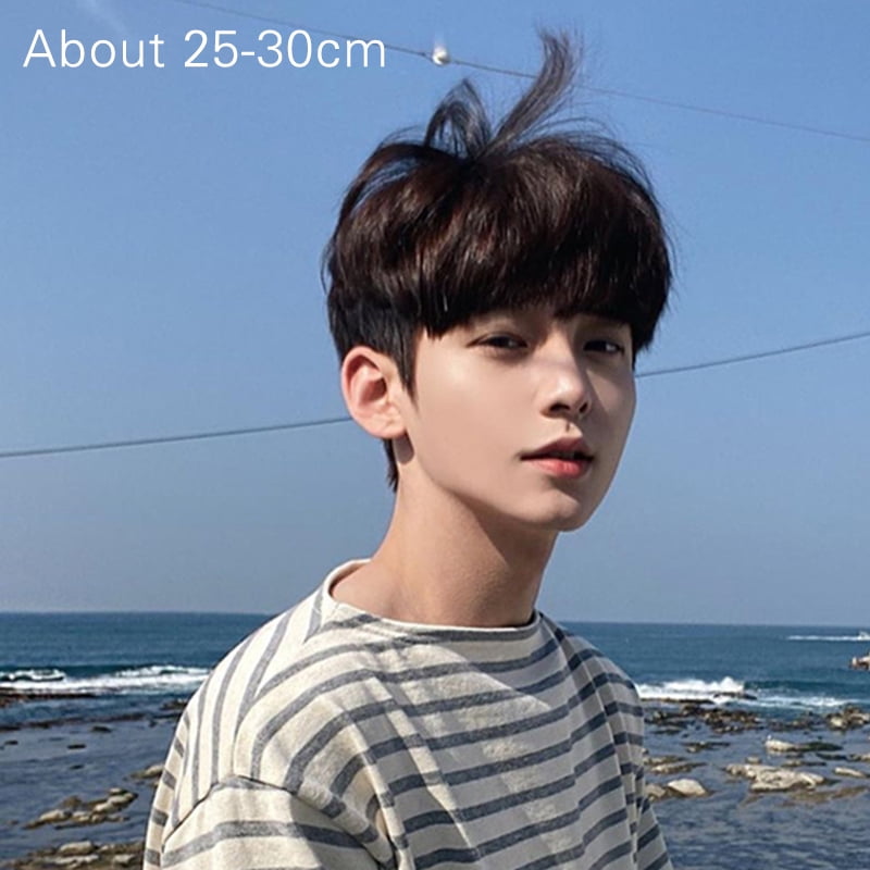 Fluffy Natural Wig High Temperature Fiber Korean Style Wigs Hair Flat Bangs Short Hair Wig For Males Boys New Dark Brown Walmart
