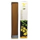 thumbnail image 3 of Incienso Sin Varilla 100% Natural Fragancias Herbales Larga Duracion 60min Relajación Budismo Meditación Yoga Pilates Copal Mirra Lavanda Palo Santo Hecho en India Elementos Bambooless + Base, 3 of 5