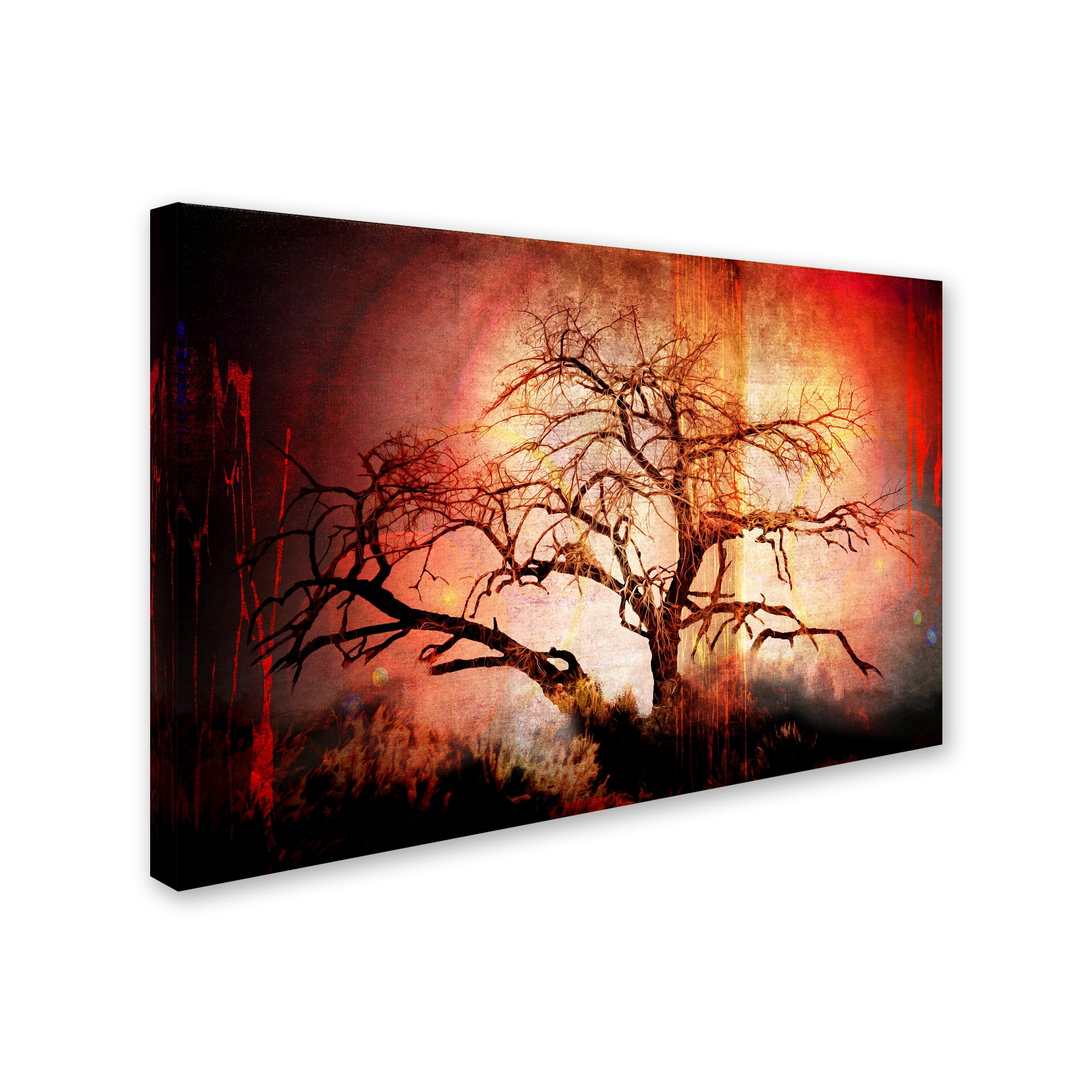 Trademark Fine Art 'Cottonwood Tree Part 10' Canvas Art by LightBoxJournal