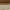 Tan Nubuck, variant on Sebago Men's Crest Docksides Tan Nubuck Boat Shoe 7W