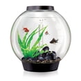 thumbnail image 4 of biOrb CLASSIC 30 Aquarium with MCR Light - 8 gallon, black, 4 of 4