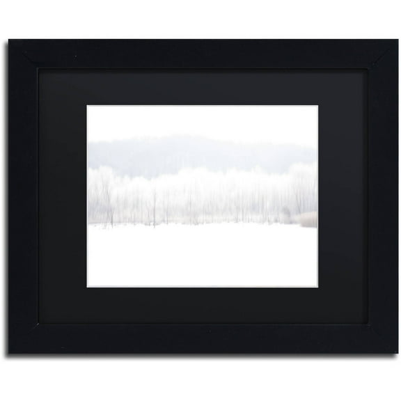 Trademark Fine Art "Abstract Winter Beaver Marsh" Canvas Art by Kurt Shaffer Black Mat, Black Frame