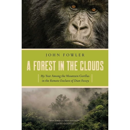 A Forest in the Clouds (Paperback)