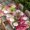 Crimson Green Beige, variant on Pink Floral Table Cloths for 5 Foot Rectangle Tables, Watercolor Flowers Leaves Plants Watercolor Patio Waterproof Elastic Fitted Tablecloths, Washable Rectangular Table Cover for Camping