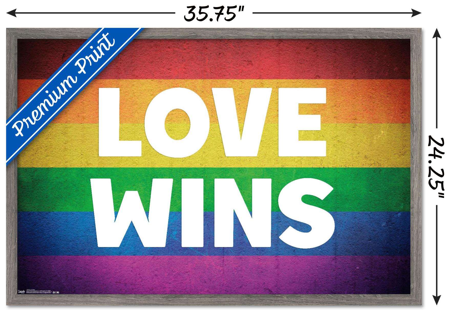 Love Wins Wall Poster, 22.375" x 34", Framed