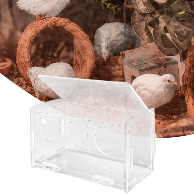 Alimentador acrílico para pájaros y pollos Fernando Comedero para pájaros