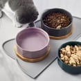 thumbnail image 4 of Cat Food Mat, Silicone Pet Feeding Mat for Floor Non-Skid Waterproof Dog Water Bowl Tray, Easy to Clean Pet Placemat，Blue 17" x 9", 4 of 7