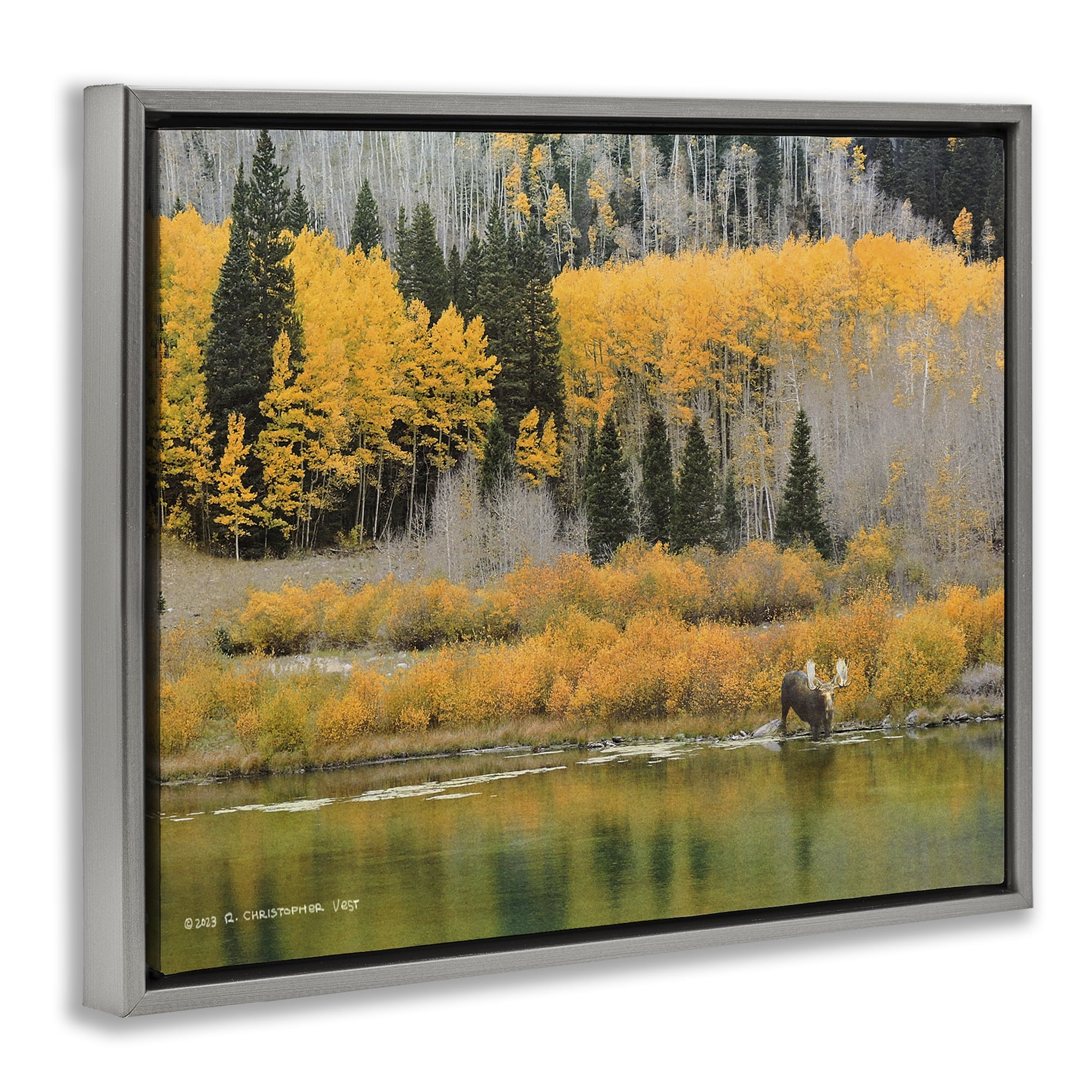 Stupell Industries Moose at Priest Lake Landscape & Nature Photography Gray Floater Framed Canvas Art Print Wall Art, 21 x 17