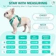 thumbnail image 4 of PayUSD Dog Harness with Leash Cat Harness No Pull Adjustable No Choke Pet Vest for Small Dogs Cats, 4 of 9