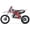 Red, variant on Trailmaster TM29 Dirt Bike Electric Start, Extended Frame, 17 inch Front tire, 33.5 seat Height Manual Trans (Orange)