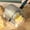 Silver_New#4846, variant on Stainless Steel Bread Slicer, Non-Slip Toast Bread Cutting Guide, Home Kitchen Baking Tool for Bread, Cheese, Durable & Easy to Use, Silver, 5.5 x 4.1 x 3.6 Inch