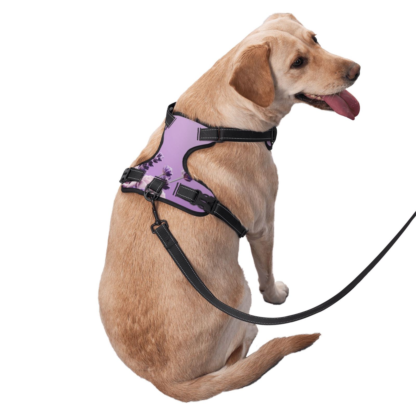 Vsdgher Lavender Roses Arrangement Dog Harness, No-Pull Pet Harness, Dog Vest, Pet Vest for Small to Large Dogs-Small