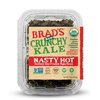 Brad's Raw Foods Organic Gluten Free Crunchy Kale, Nasty Hot, 2 Oz