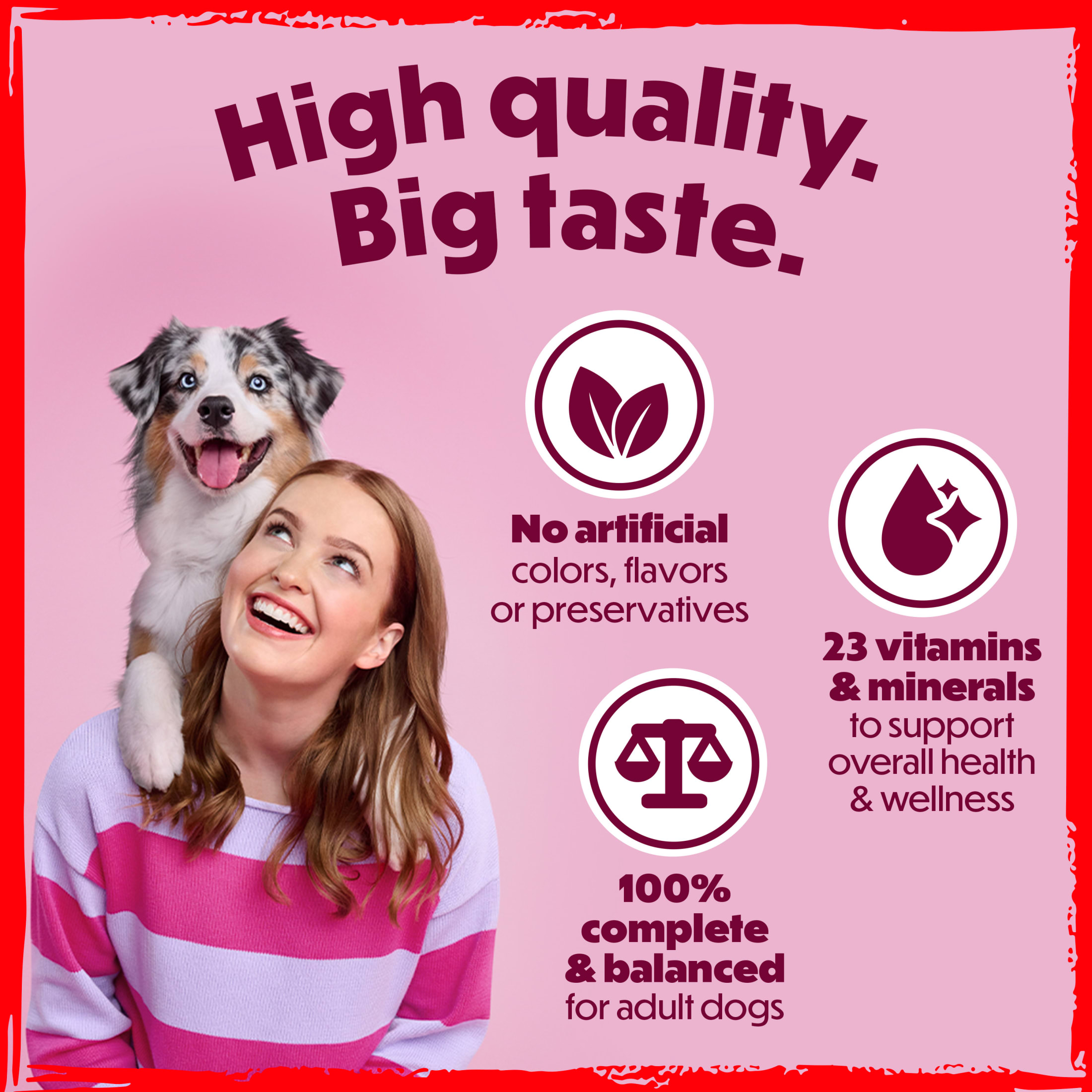 Purina Beneful Originals Salmon Dry Dog Food, 14 lb photo 3