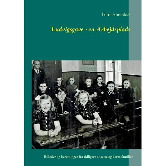 Ludvigsgave - en Arbejdsplads: Billeder og beretninger fra tidligere ansatte og deres familier, (Paperback)