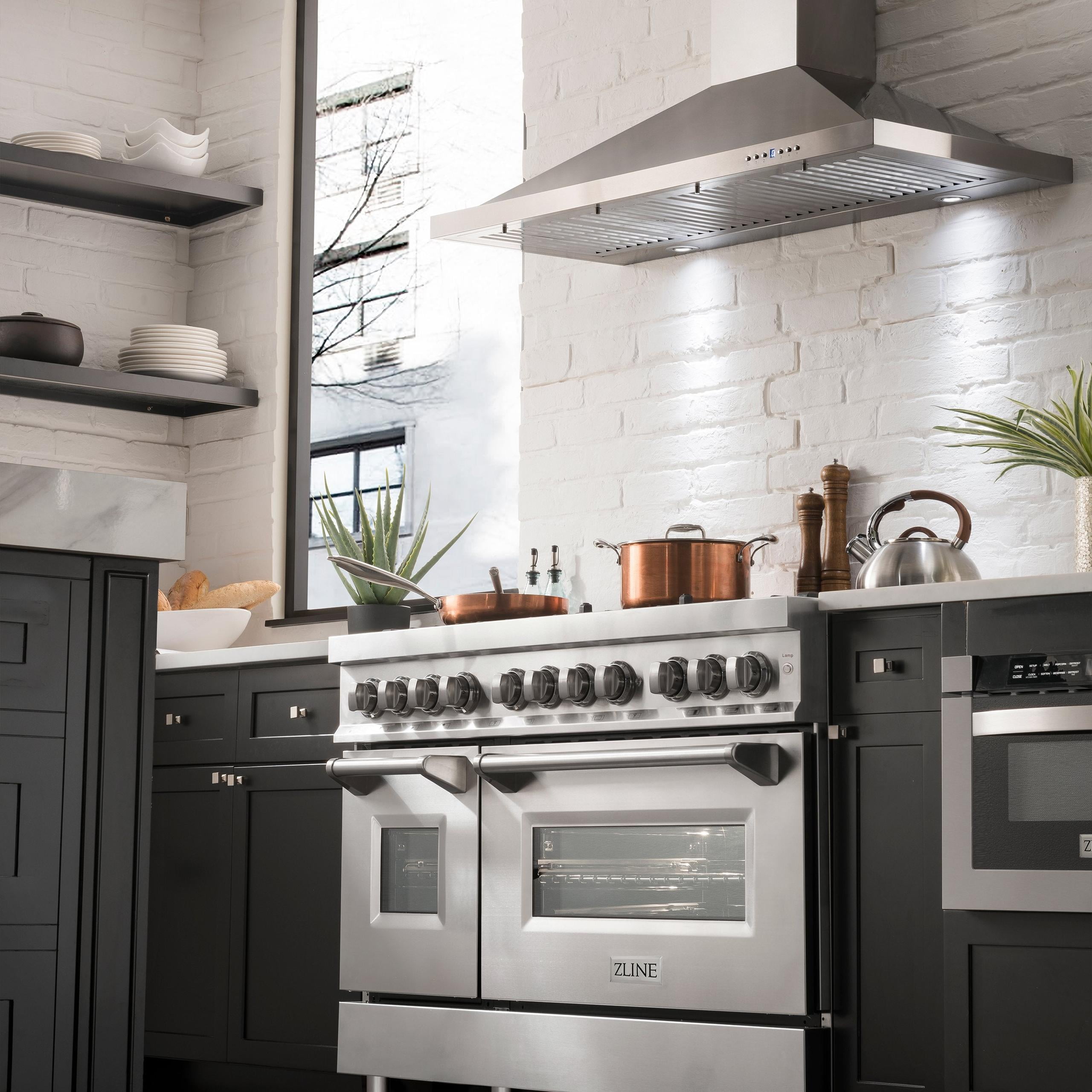 ZLINE 48 in. Professional Dual Fuel Range with Blue Matte Door (RA-BM-48)