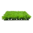 thumbnail image 2 of WM25 Artificial Fake Water Aquatic Green Grass Plant Lawn Aquarium Landscape, 2 of 5