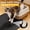 Black, variant on Silicone Cat Litter Trapping Mat, 34''x22'' Large Cat Litter Mat, Easy to Clean & Soft on Kitty Paws, Waterproof Kitty Litter Pads for Indoor Cats, Black