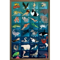 Wild Kratts - Grid Wall Poster, 14.725" x 22.375" Framed
