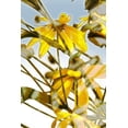 thumbnail image 4 of Kathy Carbonetti 13x18 Black Modern Wood Framed Wall Art Titled - Lazy Daisy, 4 of 6