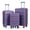 Purple, variant on Hardshell Luggage, Lightweight Durable ABS Suitcase with Double Spinner Wheels, TSA Lock, 20-Inch Travel Carry-On Luggage (Blue)