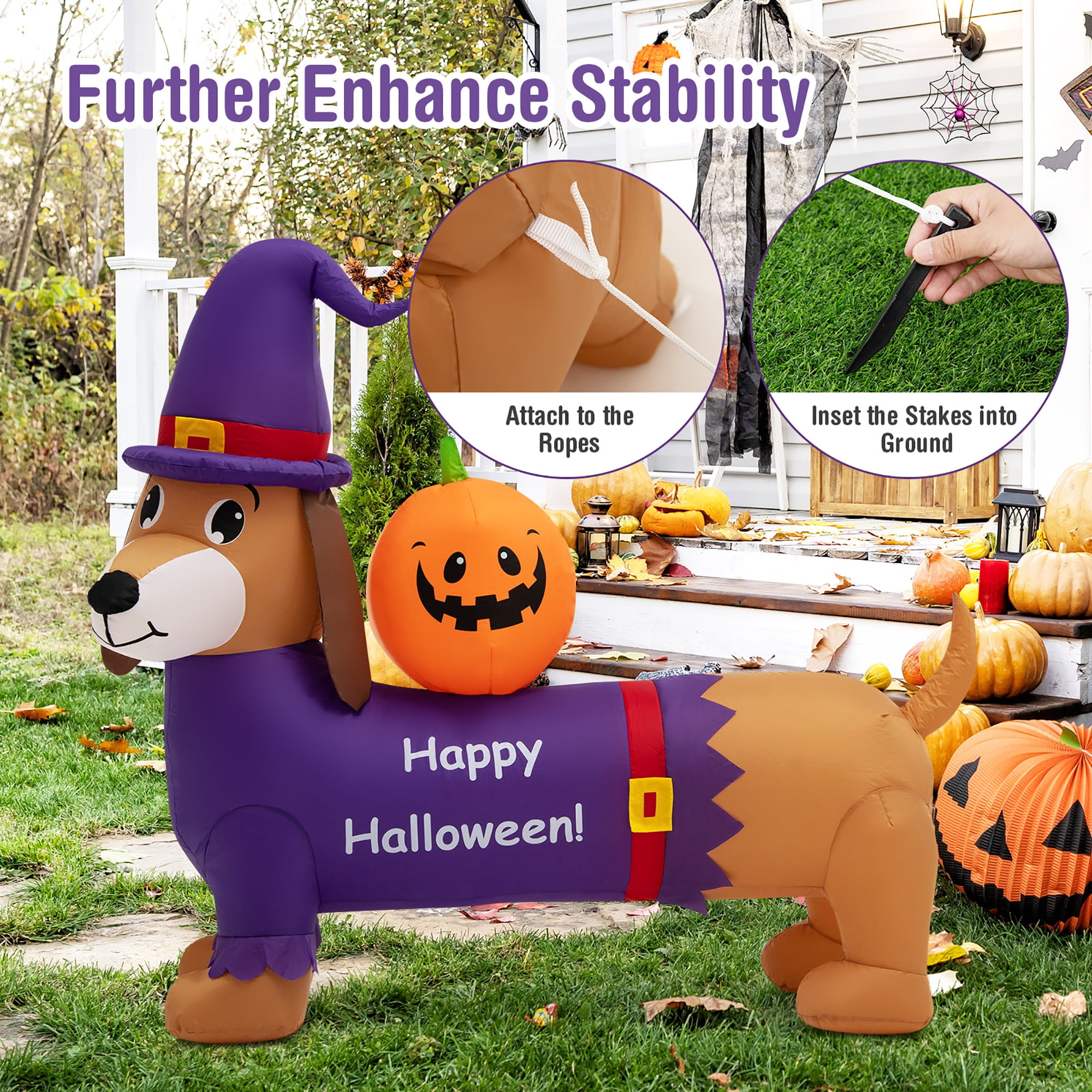 Animal Adventure Dachshund Halloween Seasonal Decor