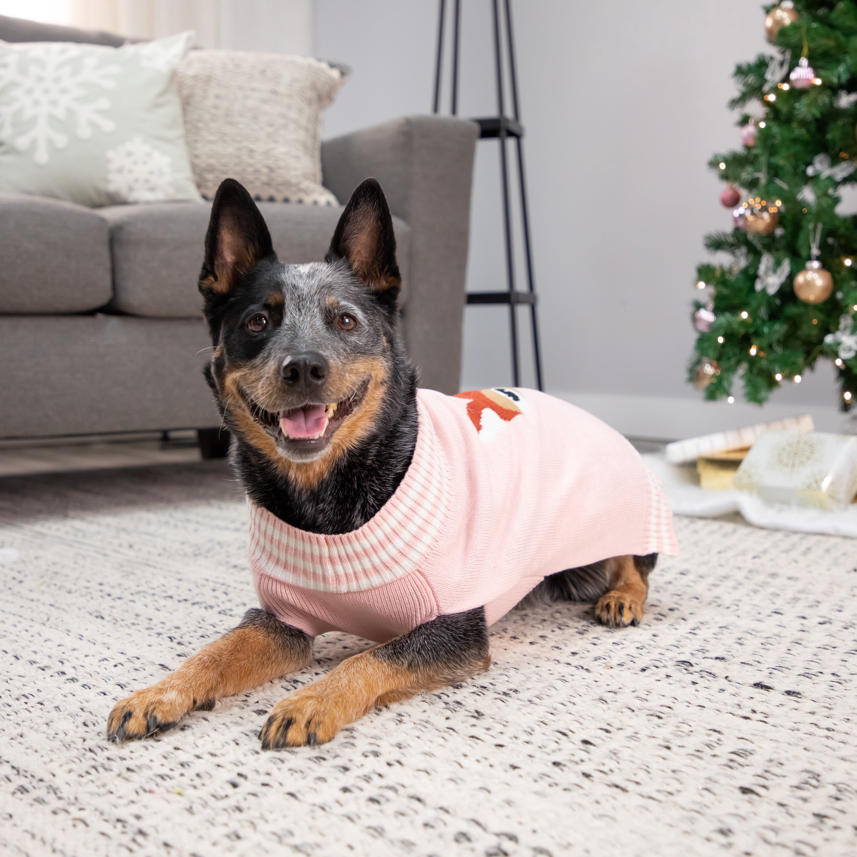 Vibrant Life, Dog and Cat Clothes, Fawn Pet Sweater, Pink, XS