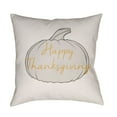 thumbnail image 2 of Surya  Happy Thanksgiving Medium Throw Pillow - Orange & Gray - 18 x 18 x 4 in., 2 of 2
