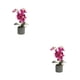 thumbnail image 2 of Bewildely Bonsái de orquídeas artificiales, maceta Phalaenopsis en maceta, decoración de jardín para el hogar, 8 flores falsas, estatuilla Type1 NO1, 2 of 6