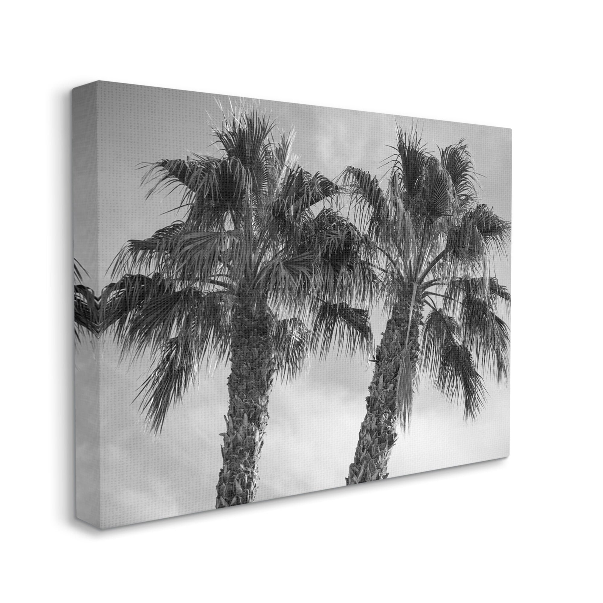 Stupell Industries Tall Tropical Palm Trees Black White Photography, 20 x 16,Design by Matheson