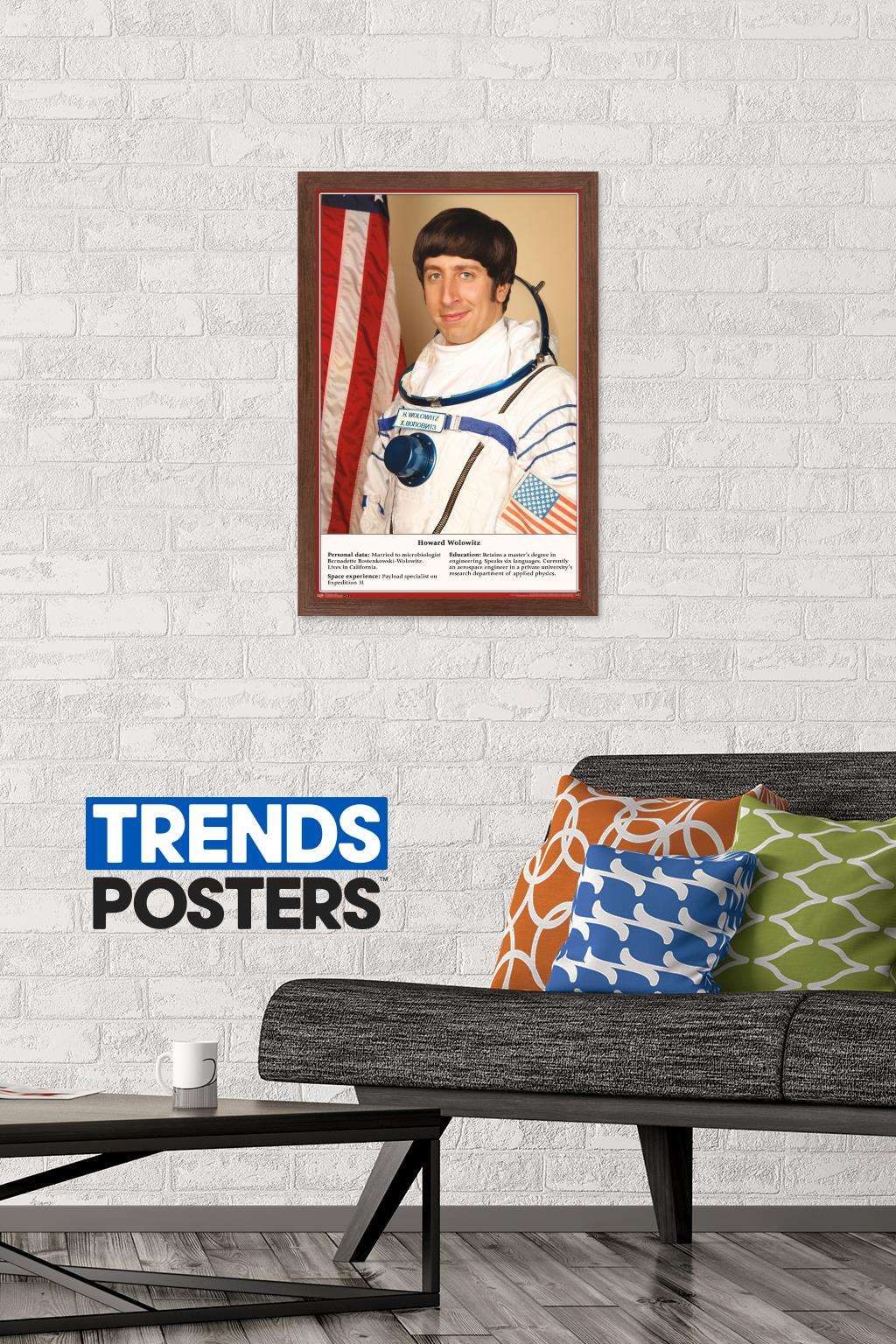 The Big Bang Theory - Astronaut Wall Poster, 14.725" x 22.375", Framed