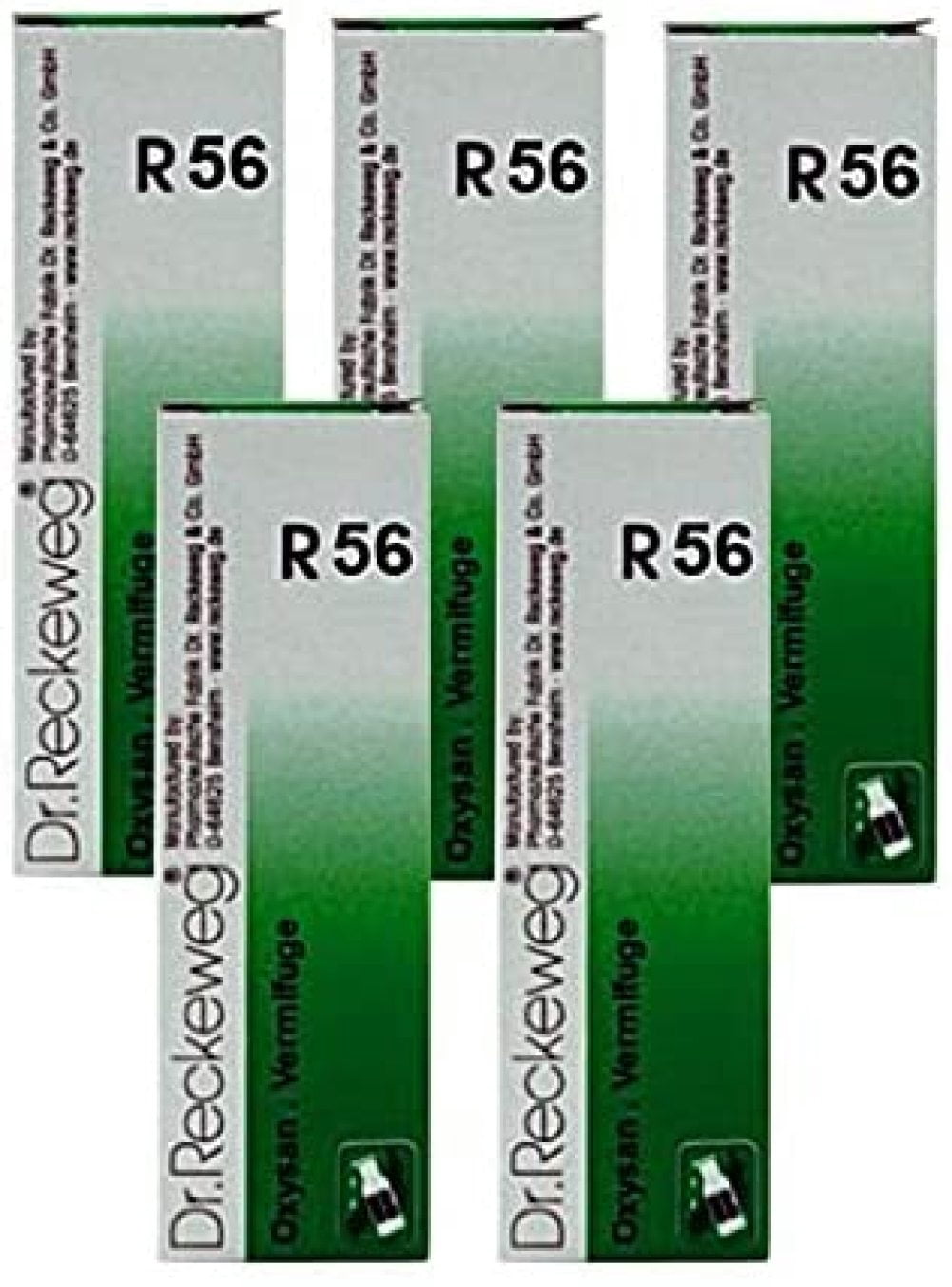 Dr Reckeweg Germany R56 Worms Drops Pack Of 5 Walmart