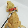thumbnail image 6 of Guiexla 1 Set Lizard Leash Adjustable Reptile Traction Rope And Collar Durable Comfortable Pet Leash for Outdoor Adventures, 6 of 7