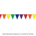 thumbnail image 4 of 12 Pack Bulk Solid Rainbow Party Pennant Banner, 4 of 6