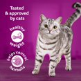 thumbnail image 2 of Whiskas Indoor High Protein with Real Chicken Dry Cat Food, 2 of 9