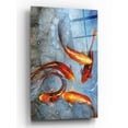 thumbnail image 1 of Epic Art 'Graceful Koi I' by Tim O'Toole, Acrylic Glass Wall Art, 12"x16", 1 of 2