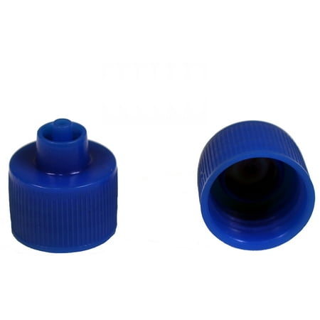 Small 2 Ounce Bottle - Creative Hobbies Luer Lock Bottle Cap, 20-410 Threads Fit 1, 2, 4 Ounce Bottles, Blue Plastic, Pack of 12