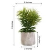 thumbnail image 3 of Efavormart Set of 3 | 8” Assorted Spiky Crassula Artificial Faux Succulent Mini Green Plants in Cement Pot, 3 of 11
