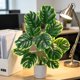 thumbnail image 4 of Artificial Monstera Deliciosa Bonsai Indoor Artificial Plants Desktop Ornament Suitable For Home Decoration In Living Rooms Offices And Bedrooms, 4 of 6
