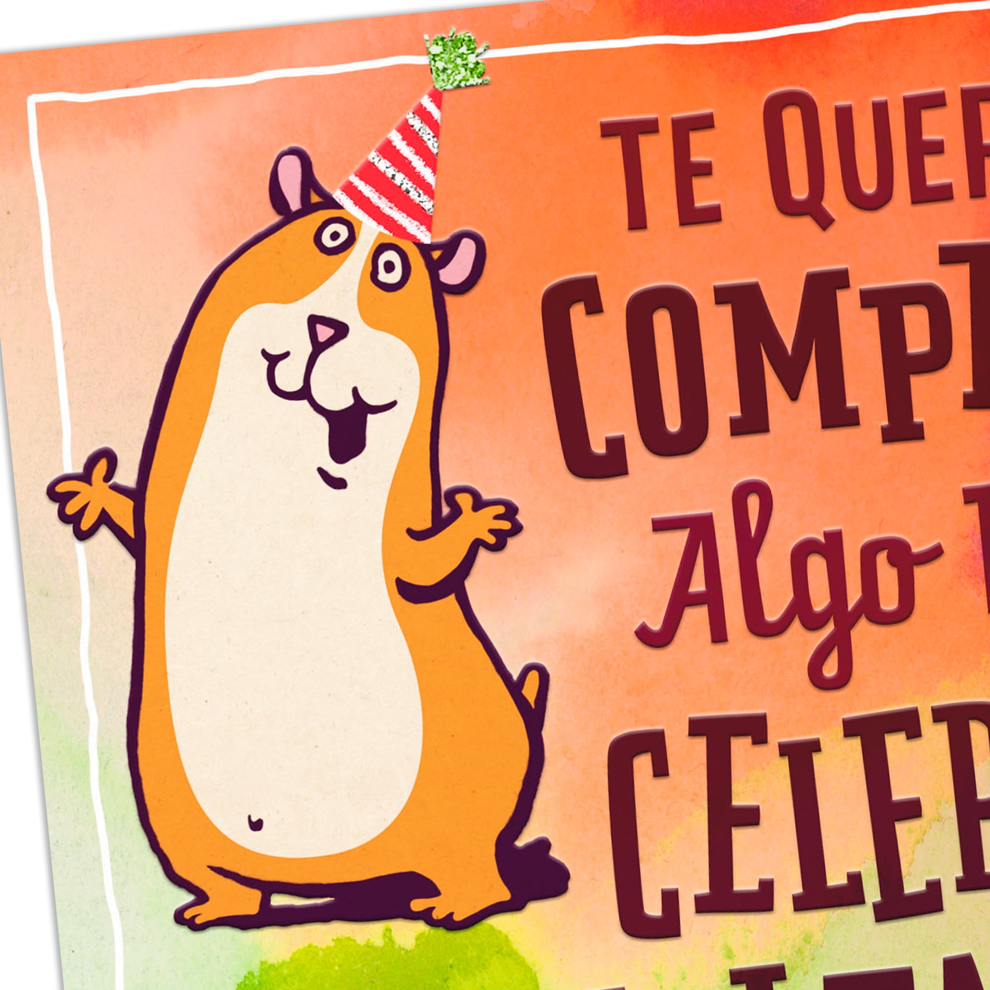 Hallmark VIDA Spanish-Language Funny Birthday Card (This Card Is Rented)