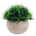 thumbnail image 1 of Artificial Plant Potted Lifelike Round Fake Greenery Plant Faux Plant Decoration, 1 of 10