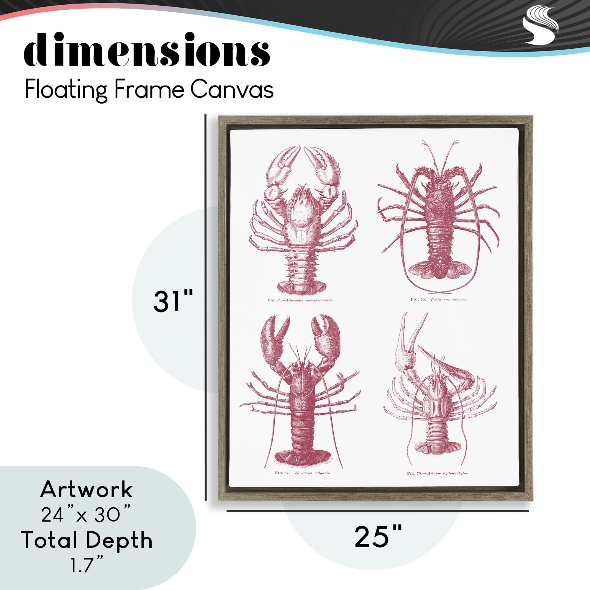 Timeless Lobsters Species Brown Framed Floater Canvas Wall Art, design by Lettered and Lined